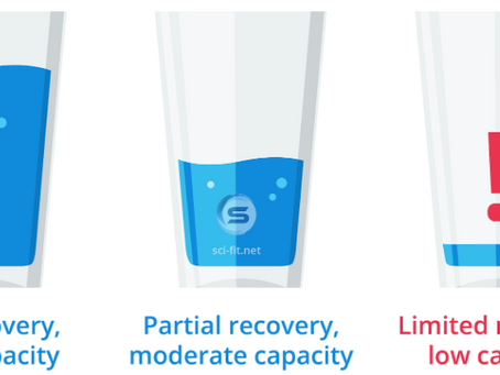 Debunking Common Myths About Swimming