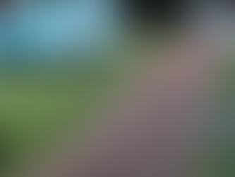 Chapecó: Polícia investiga morte de estudante atropelado ao descer de ônibus