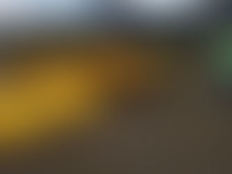 SC: Empresário morre e mulher fica em estado grave após queda de avião