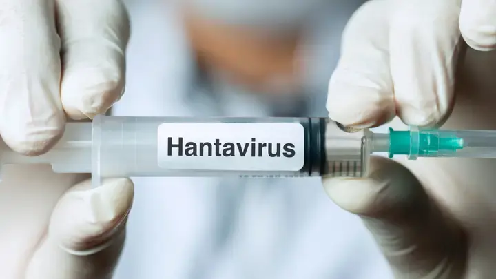Minas Gerais confirma primeira morte por hantavírus no Brasil