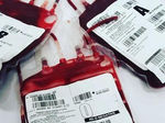 SC: Hemosc lança Projeto para incentivar doação de sangue