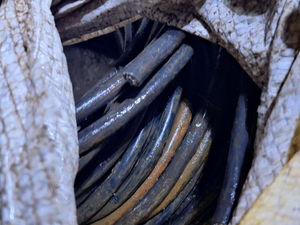 Tentativa de furto em torre de telefonia é frustrada em São Carlos