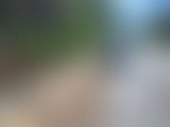 Veículo é atingido por pedra na SC 283 em Águas de Chapecó