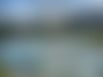 Caxambu do Sul terá Dia de Campo em Piscicultura de Inverno 