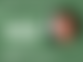 Cunhataí promove palestra alusiva aos 30 anos do município