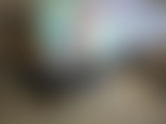 Santa Catarina tem 156 municípios inscritos no programa Pet Levado a Sério