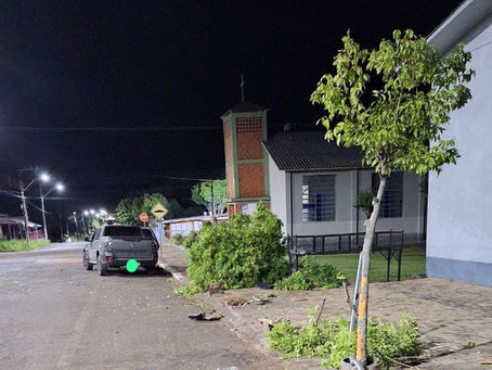 São Carlos: Veículo atinge árvore e danifica placa de trânsito, em Pratas