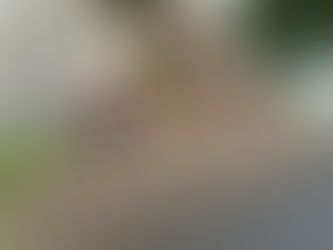 Mulher é morta com dois tiros na cabeça em bairro de Chapecó