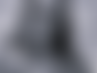 SC: Maria Luisa Lasarim, símbolo do cooperativismo, morre aos 58 anos