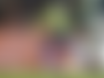 Brasil é derrotado pela Bolívia e faz a pior campanha em Eliminatórias