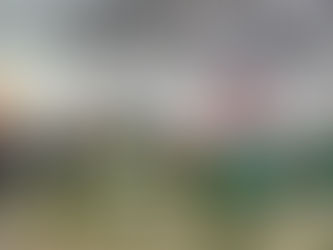 Chapecó: 15ª Exposição de Orquídeas é sucesso