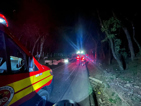Bombeiros de Palmitos atendem tombamento de caminhão na SC 283