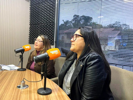 Águas de Chapecó: Escola Irineu Bornhausen prepara festa julina em meio aos projetos