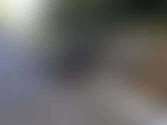 Farmacêutico morre em acidente na BR 282, no Oeste