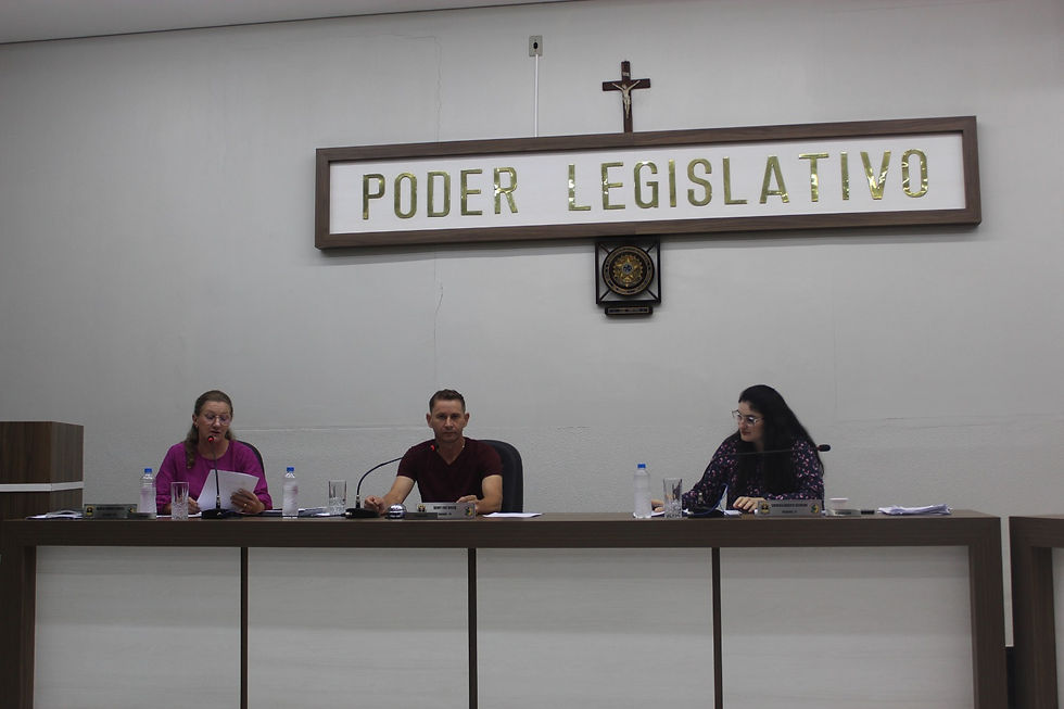 São Carlos: Sessão legislativa conta com participação de Secretário de obras