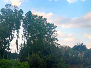 SC: Primeiro fim de semana de setembro terá chuva, temporais e frio