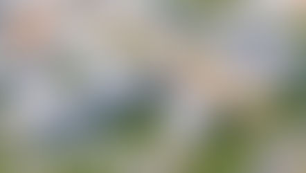 Le projet du CHU de la commune d'Abobo