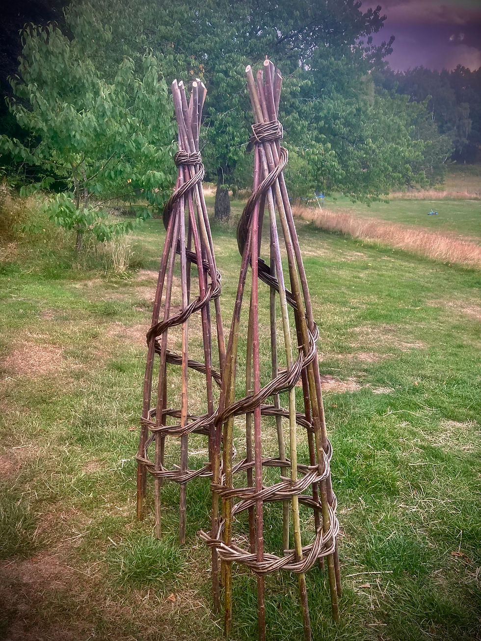 Willow Plant Support / Obelisk