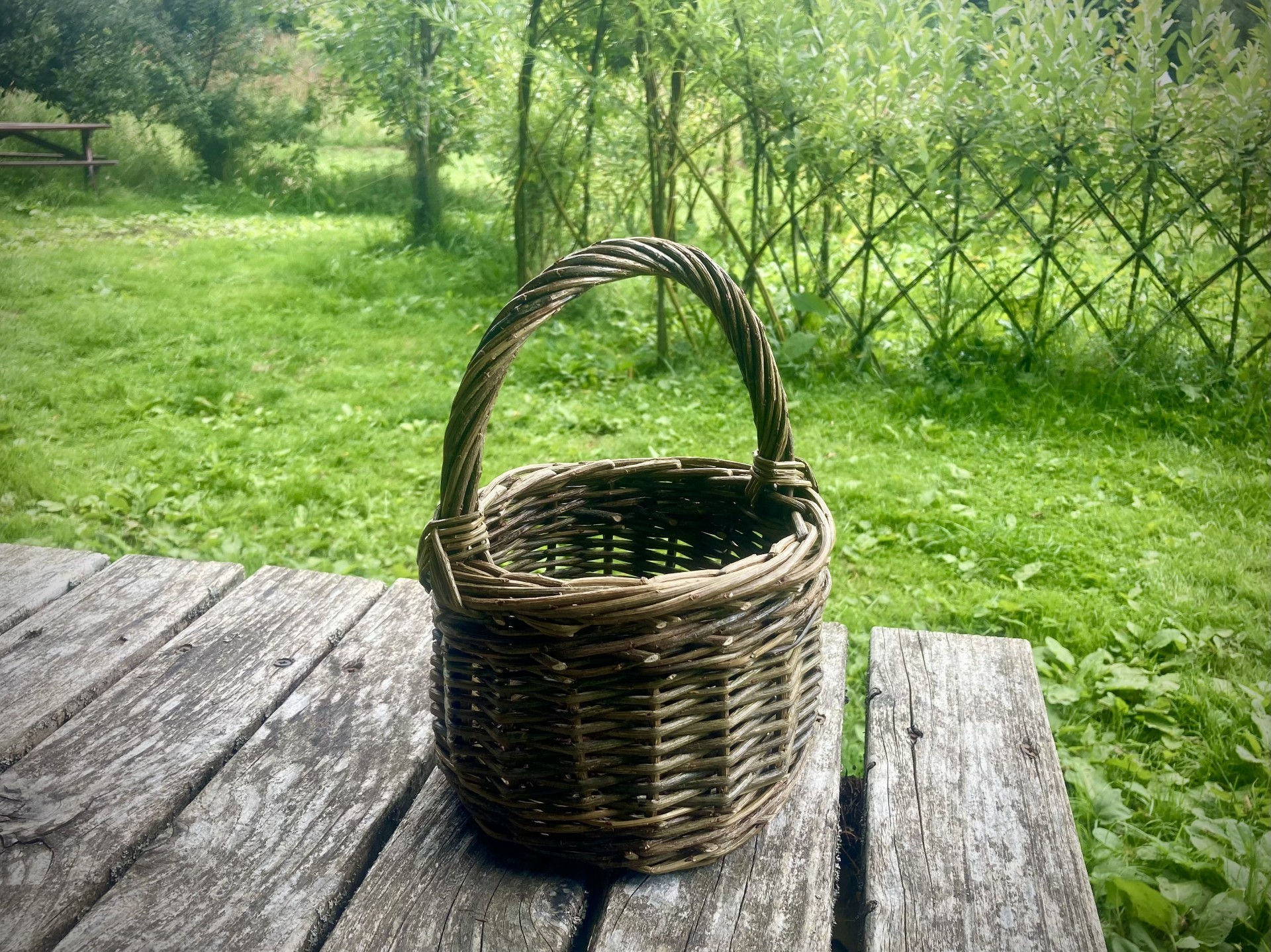 Berry Basket