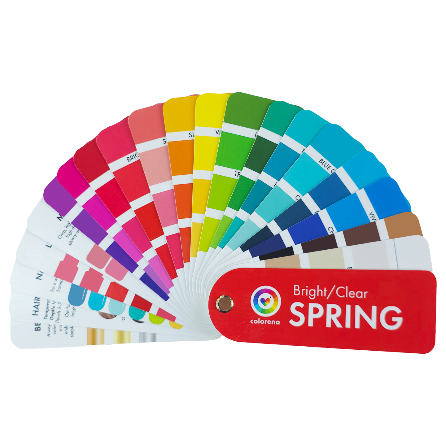 Bright Spring Color Palette Fan - 12 Seasons Fans