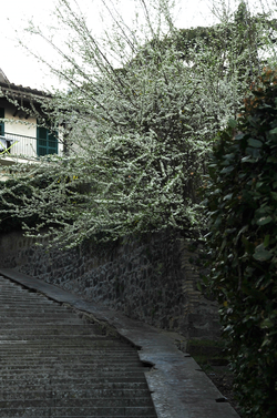 Schermata 2014-08-31 alle 23.13.24.png