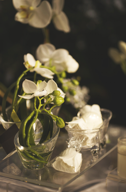 Schermata 2014-07-06 alle 13.52.02.png