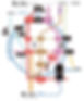 train_map_check_edited_edited.jpg
