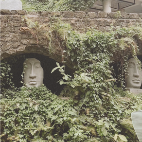 Collapse to Clarity