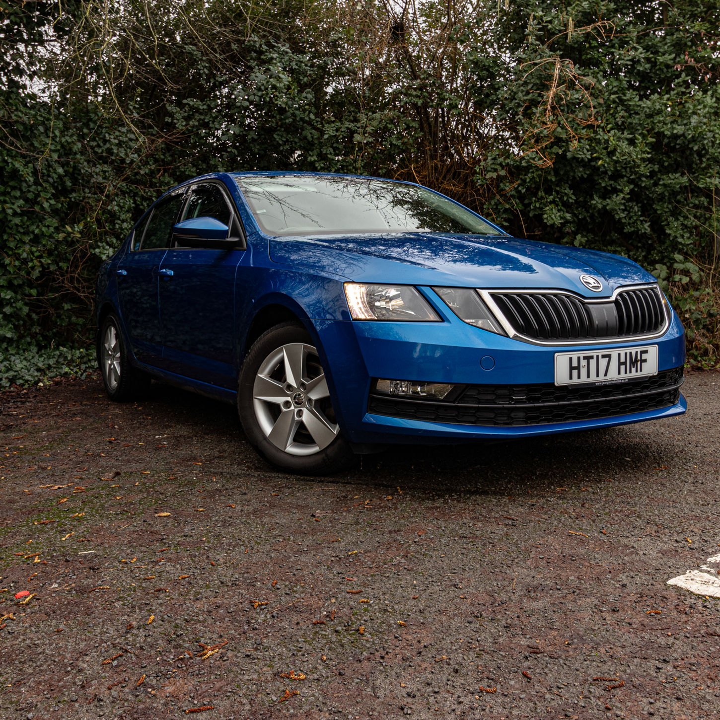 Blue Skoda Presentation