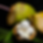 Cocos Bananen Eis ohne Zucker