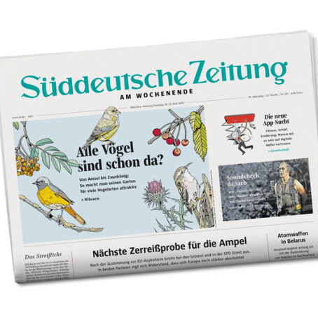 Süddeutsche Zeitung Probeabo sichern 
