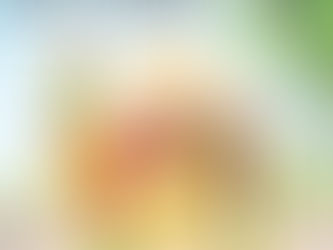 Gratisprobe von GEFRO anfordern