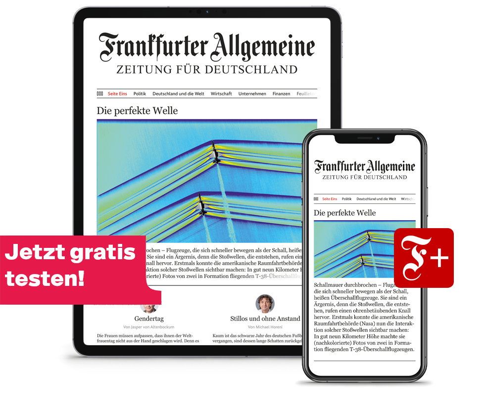 FAZ online Paper Gratis lesen