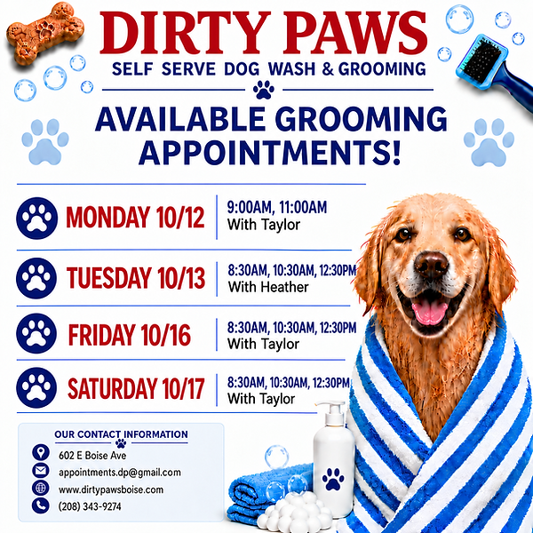 October Appointments.png