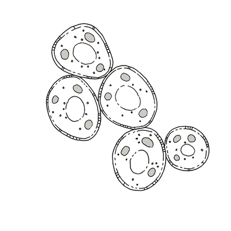 The Invitation of Carcinosinum