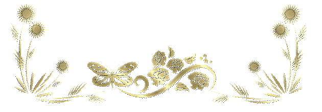 BARRAS SEPARADORAS 1.gif