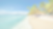 DOMINICANA_edited.png