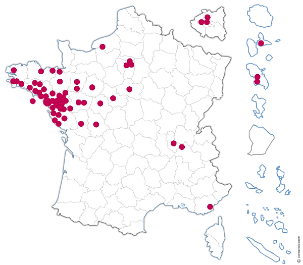 avocat dommage corporel france