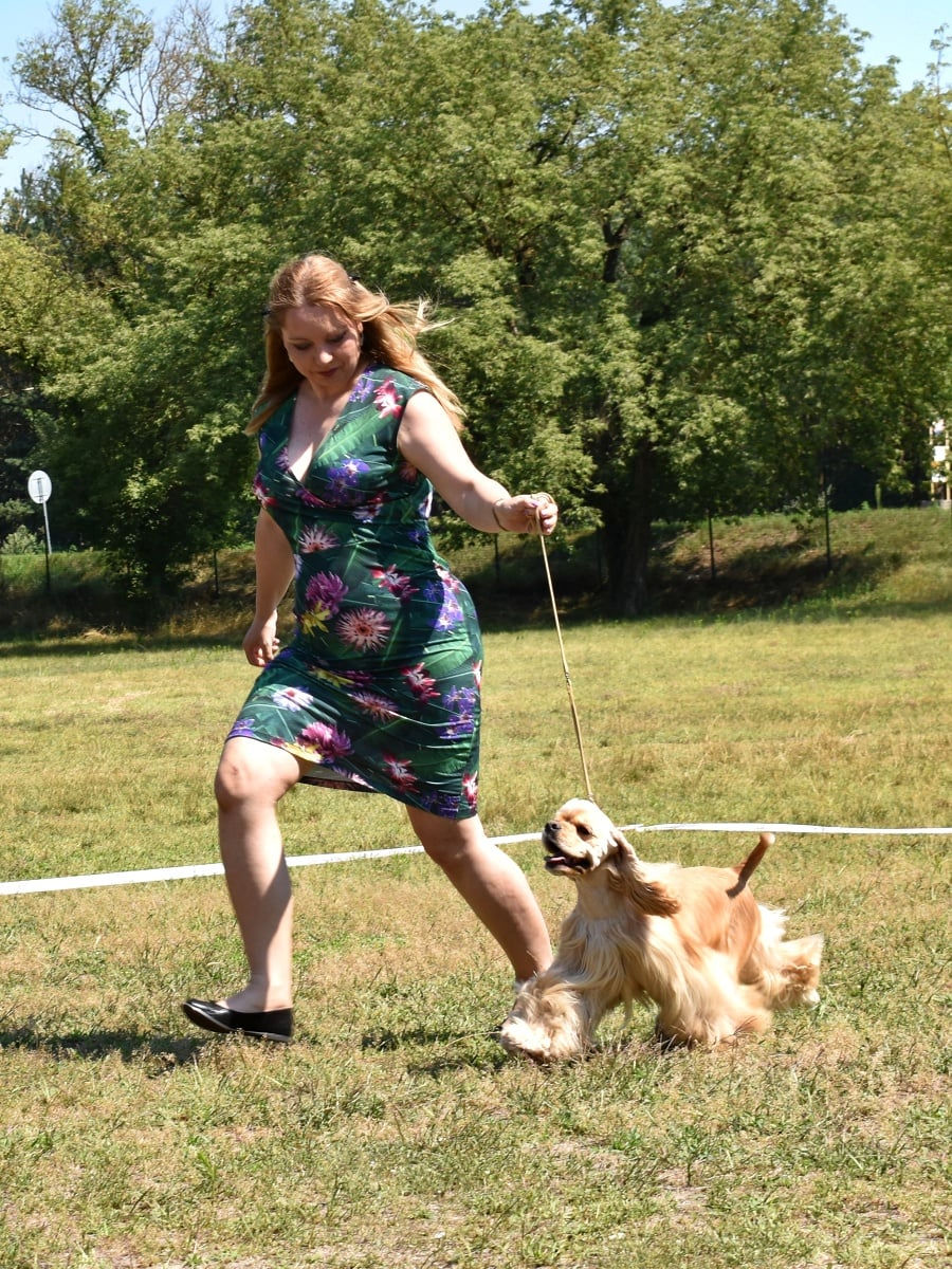 KV Plavecký Štvrtok, 2020