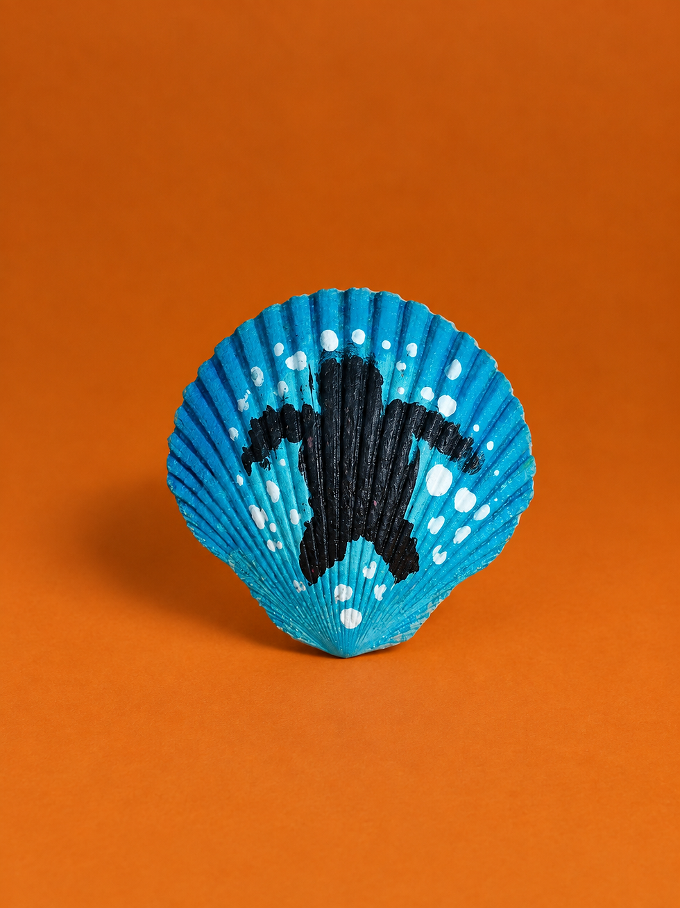 Miniatura: Conchitas decorativas 