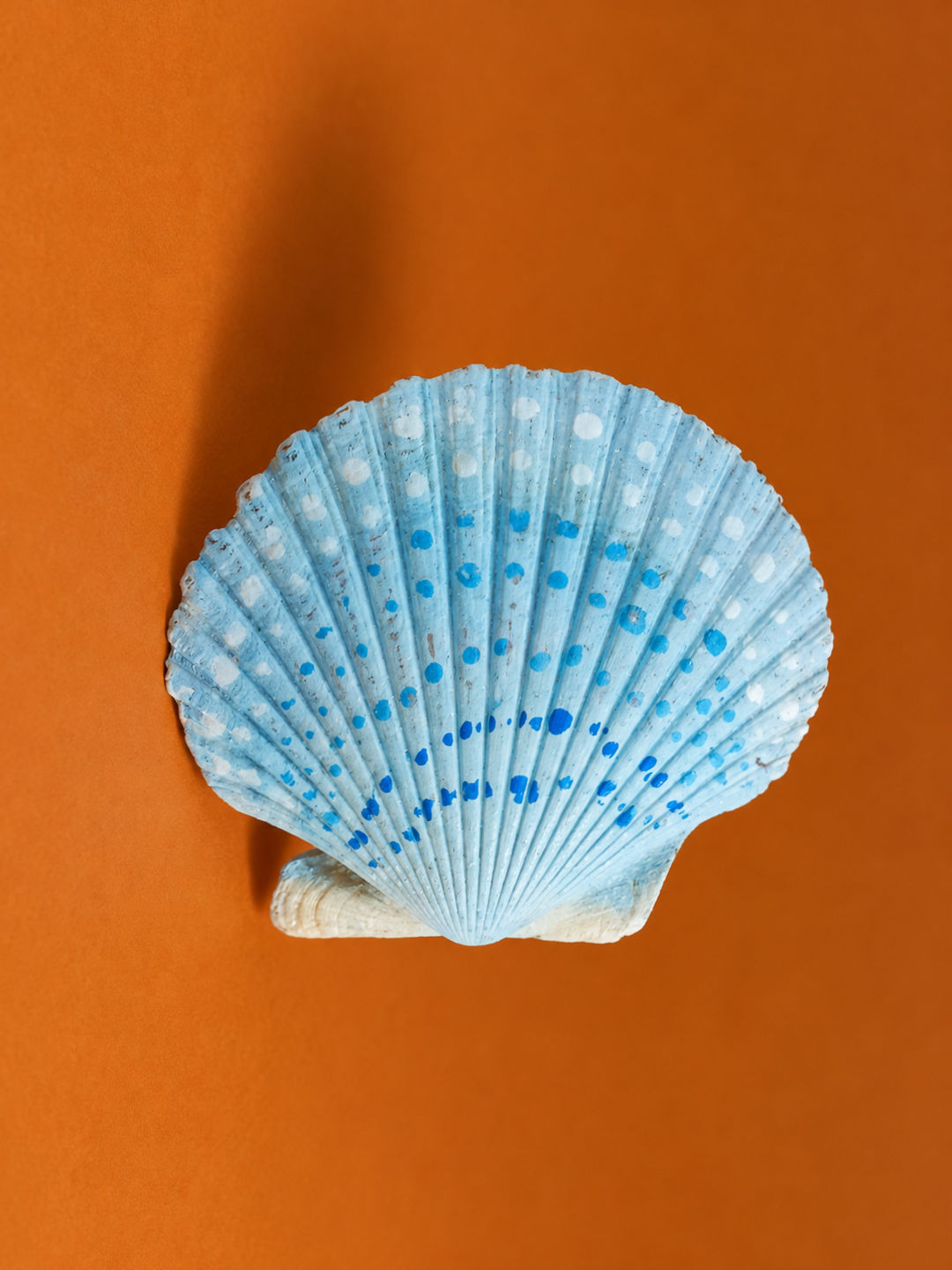 Conchitas decorativas