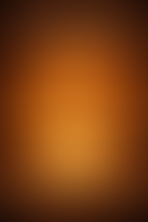 Il codice segreto del numero 12