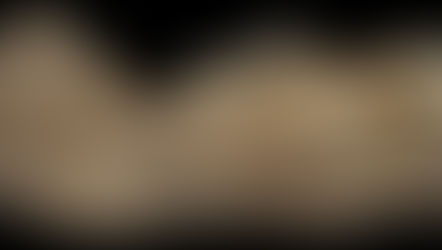 Denisovan Find Hints The Extinct Humans Colonized The 'Roof of the World'
