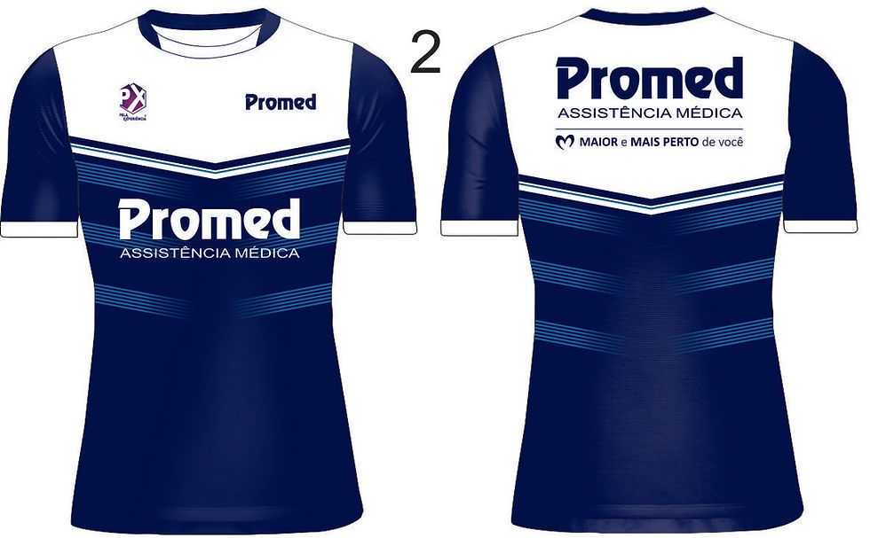 PROMED 2.1