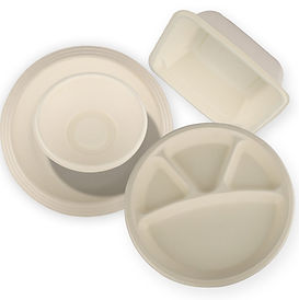 Sustainable Biodegradable Products