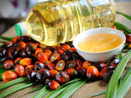 palm-oil-1553249271-4804482.jpeg