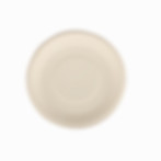 12 inch plate