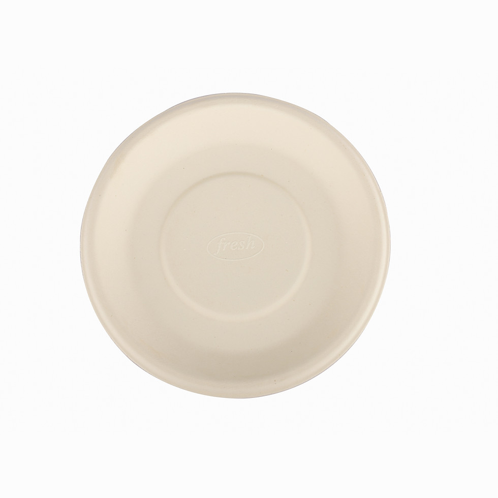 12 inch plate