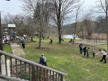 Community Cleanup Brings Neighbours Together