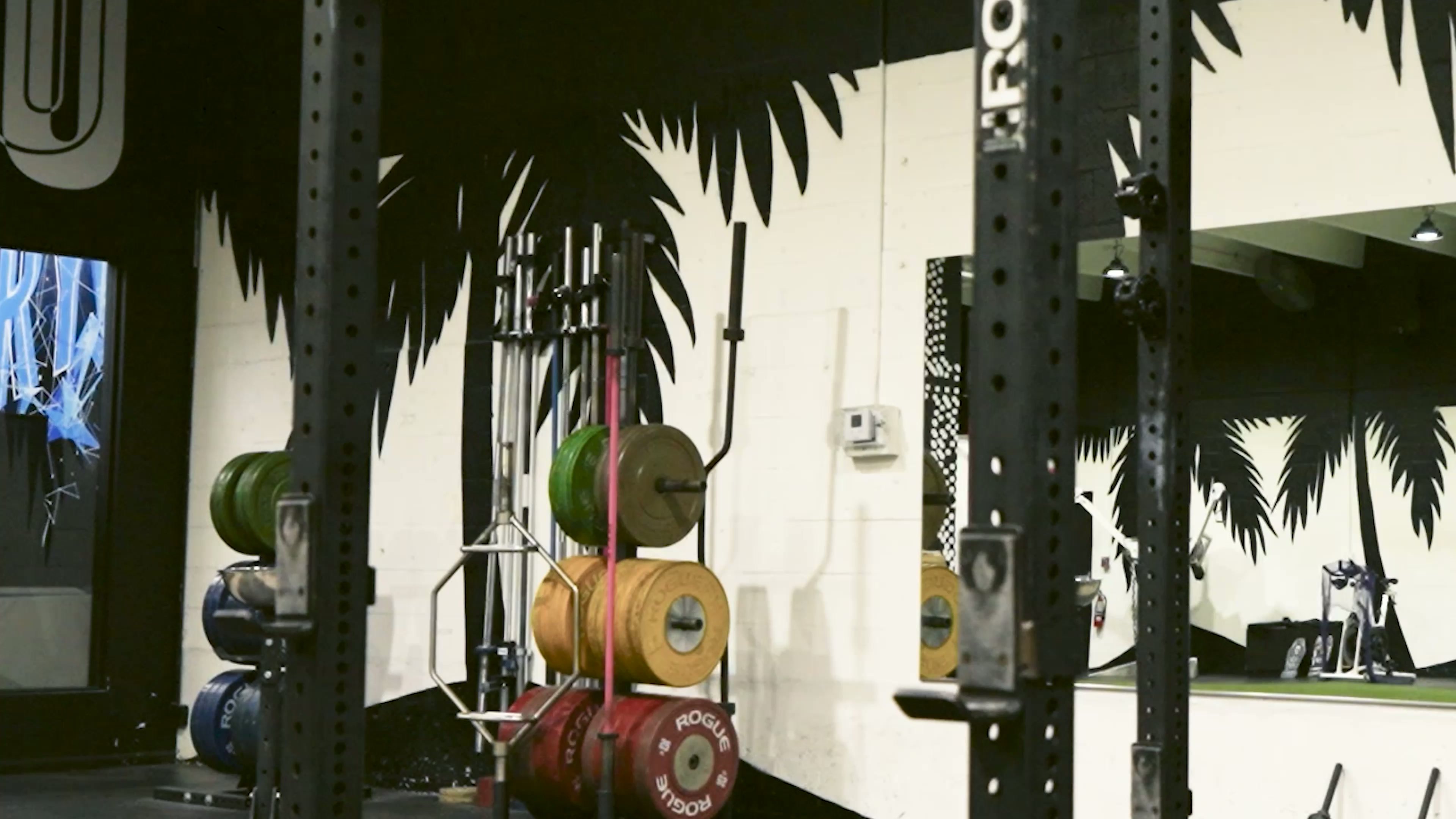 Band-Assisted Reverse Grip Pull Ups